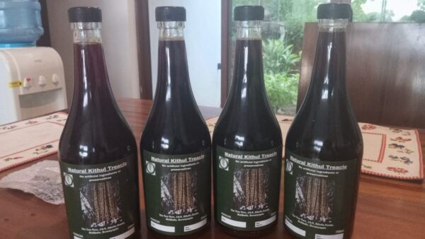 Kitul Triacle Authentic Kithul Treacle – The Tree Fern